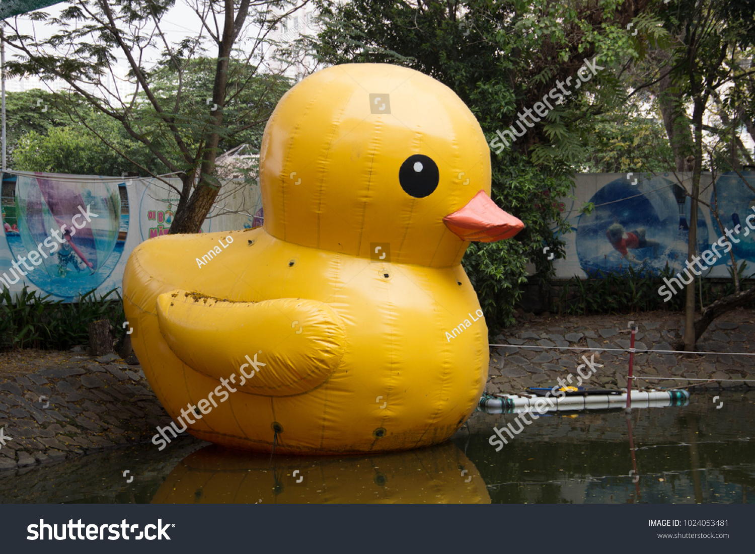 real rubber duck