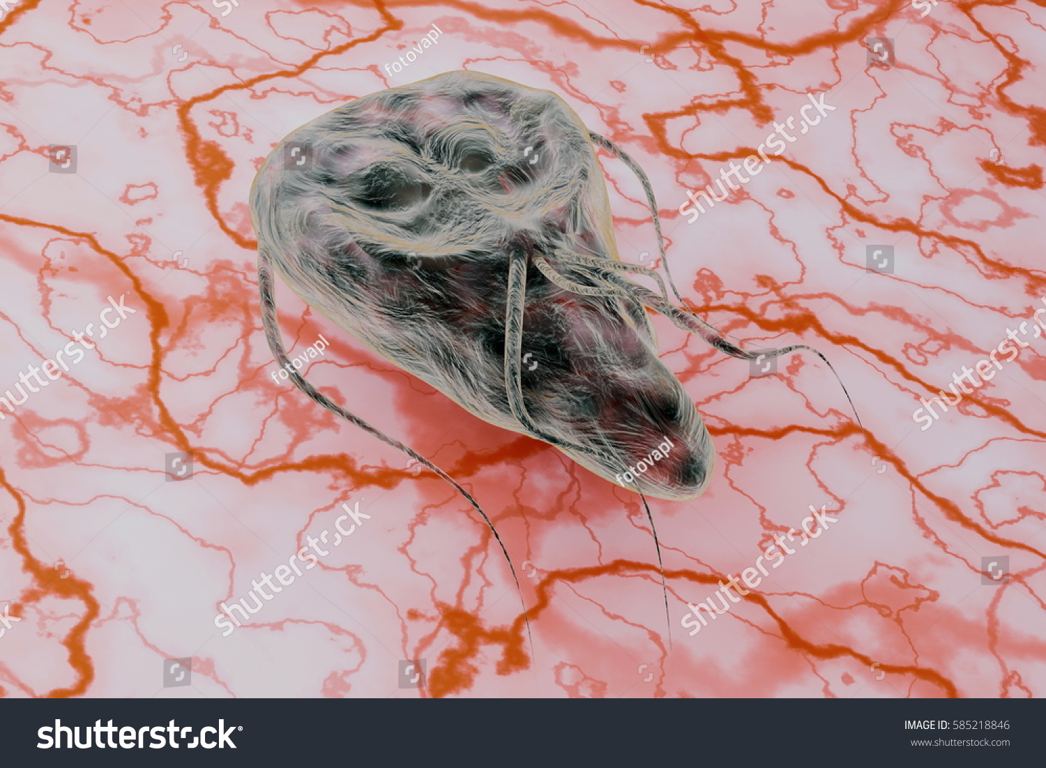 Giardia Lamblia Causing Giardiasis 3d Rendering 库存插图 585218846