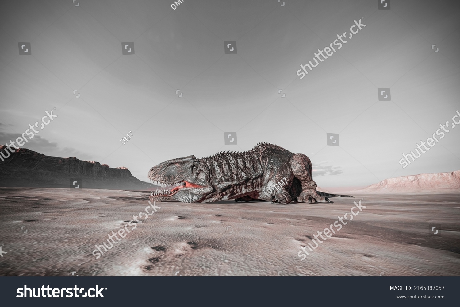 Giganotosaurus Lying Down On Sunset Desert Stock Illustration 2165387057 Shutterstock 7713