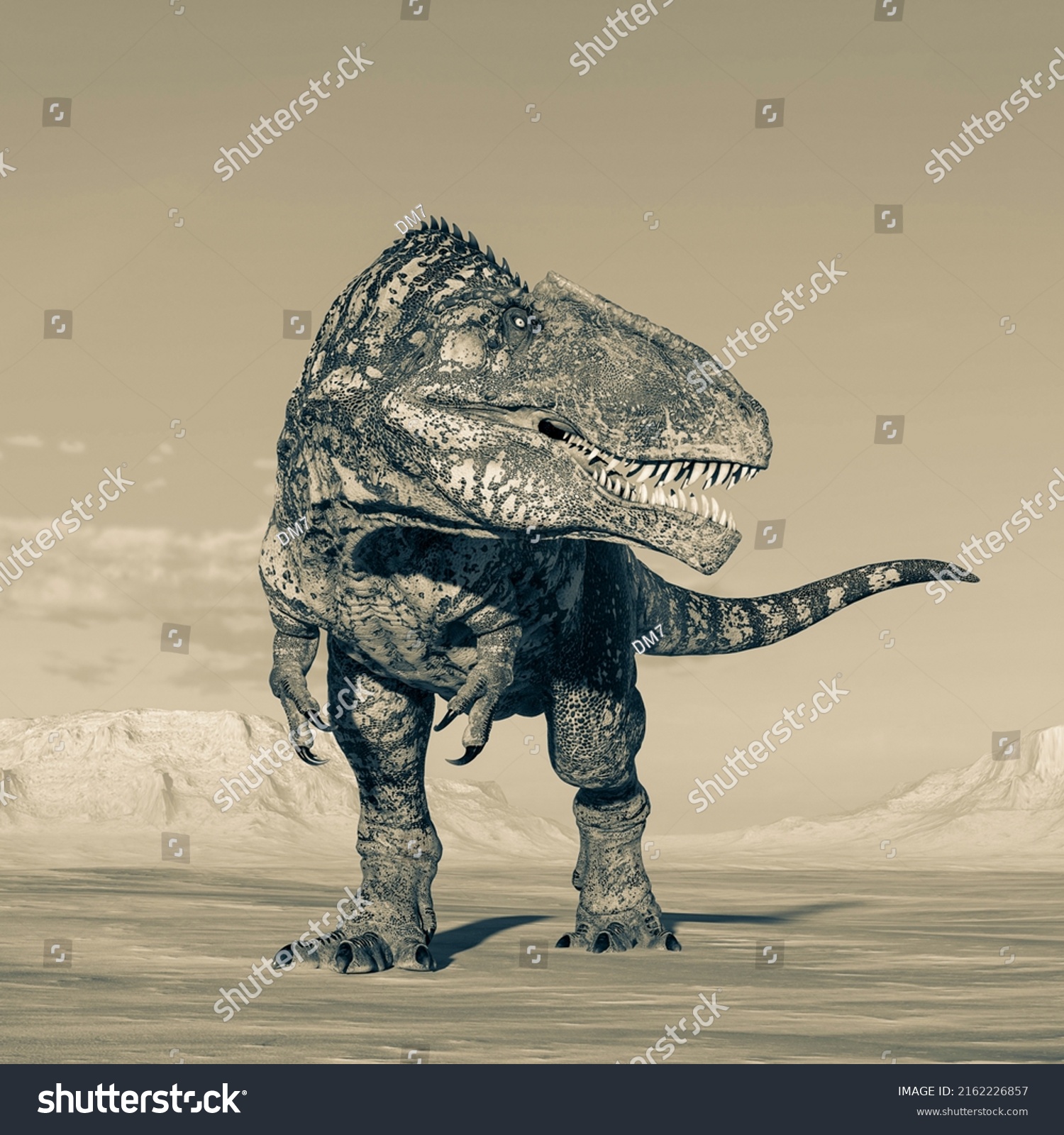 Giganotosaurus Ready Some Action On Sunset Stock Illustration 2162226857 Shutterstock 0003