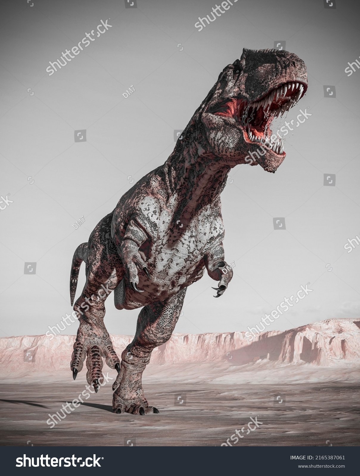 Giganotosaurus Running On Sunset Desert 3d Stock Illustration 2165387061 Shutterstock 4836