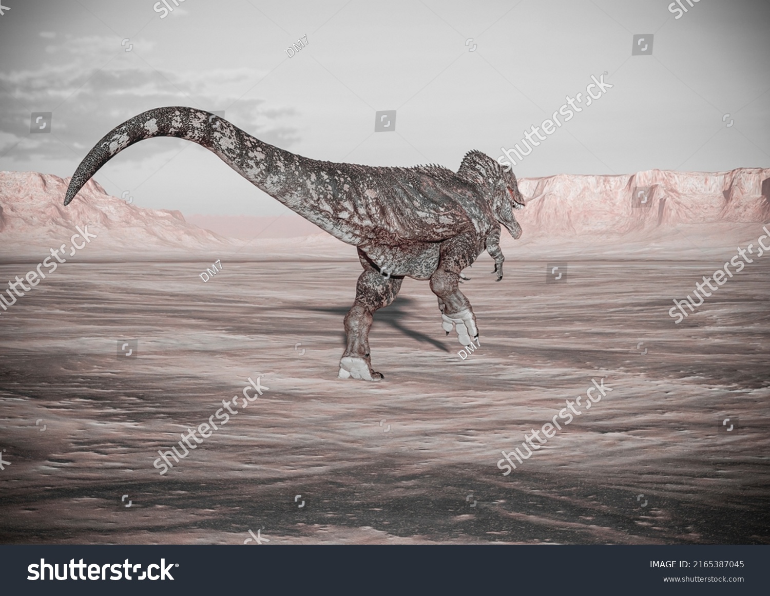 Giganotosaurus Running On Sunset Desert Rear Stock Illustration 2165387045 Shutterstock 1743