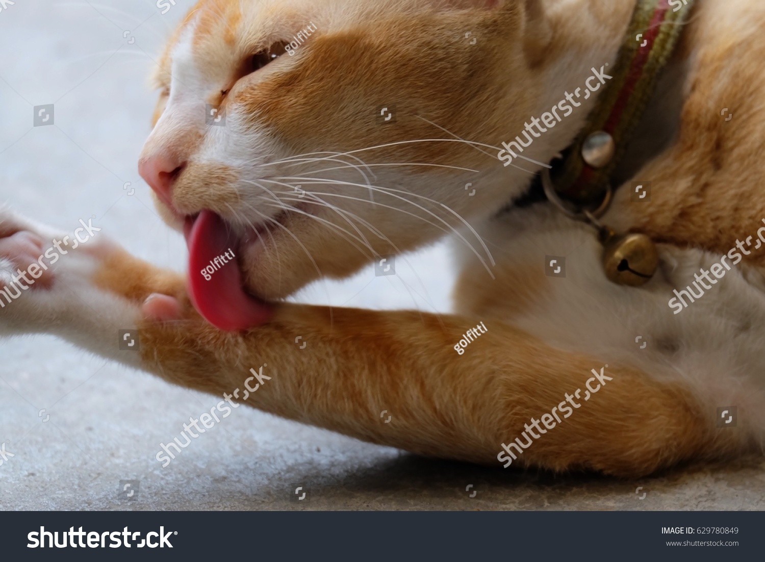 Leg skin lick hope, you Leg skin lick