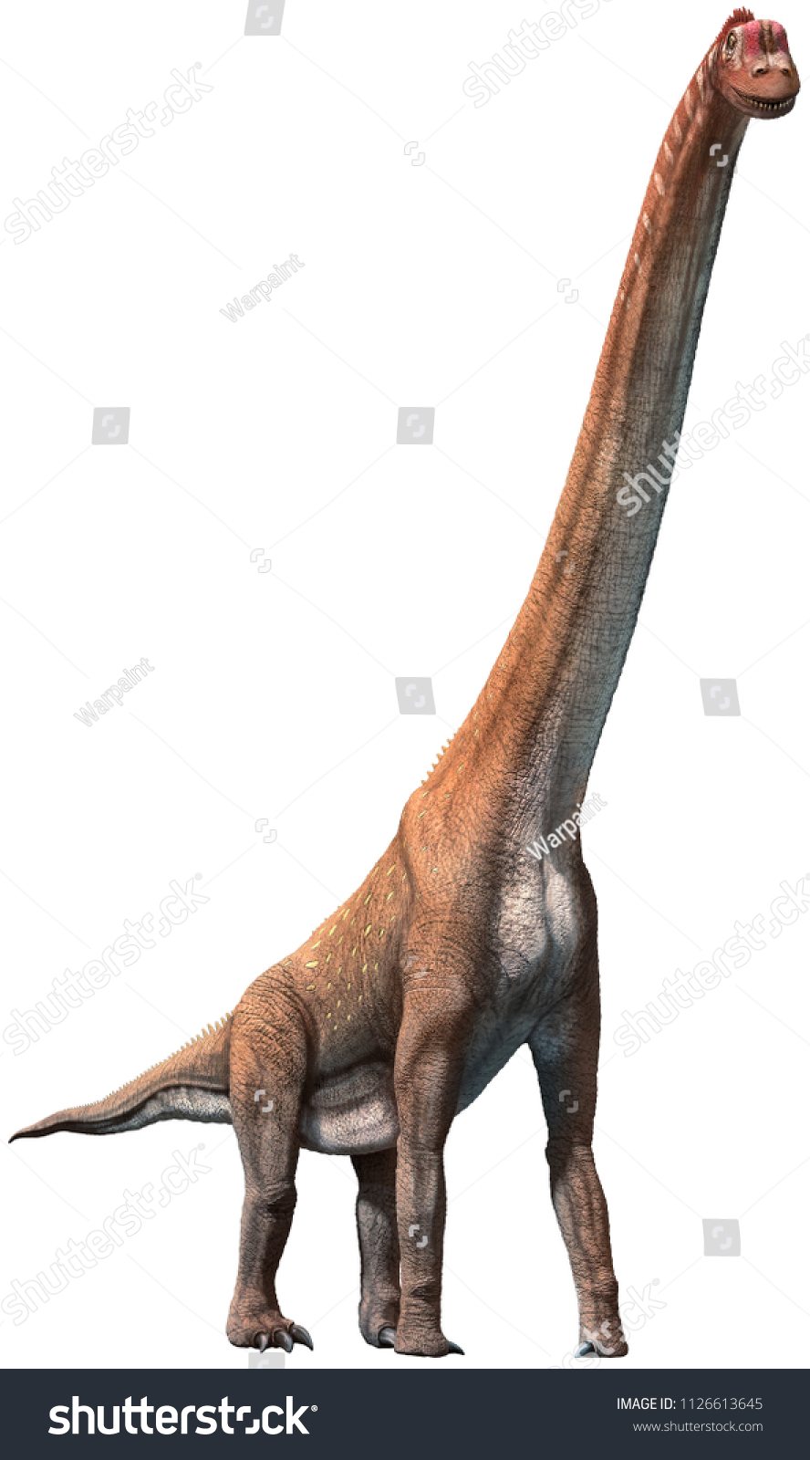 Giraffatitan: Imágenes, Fotos De Stock Y Vectores | Shutterstock