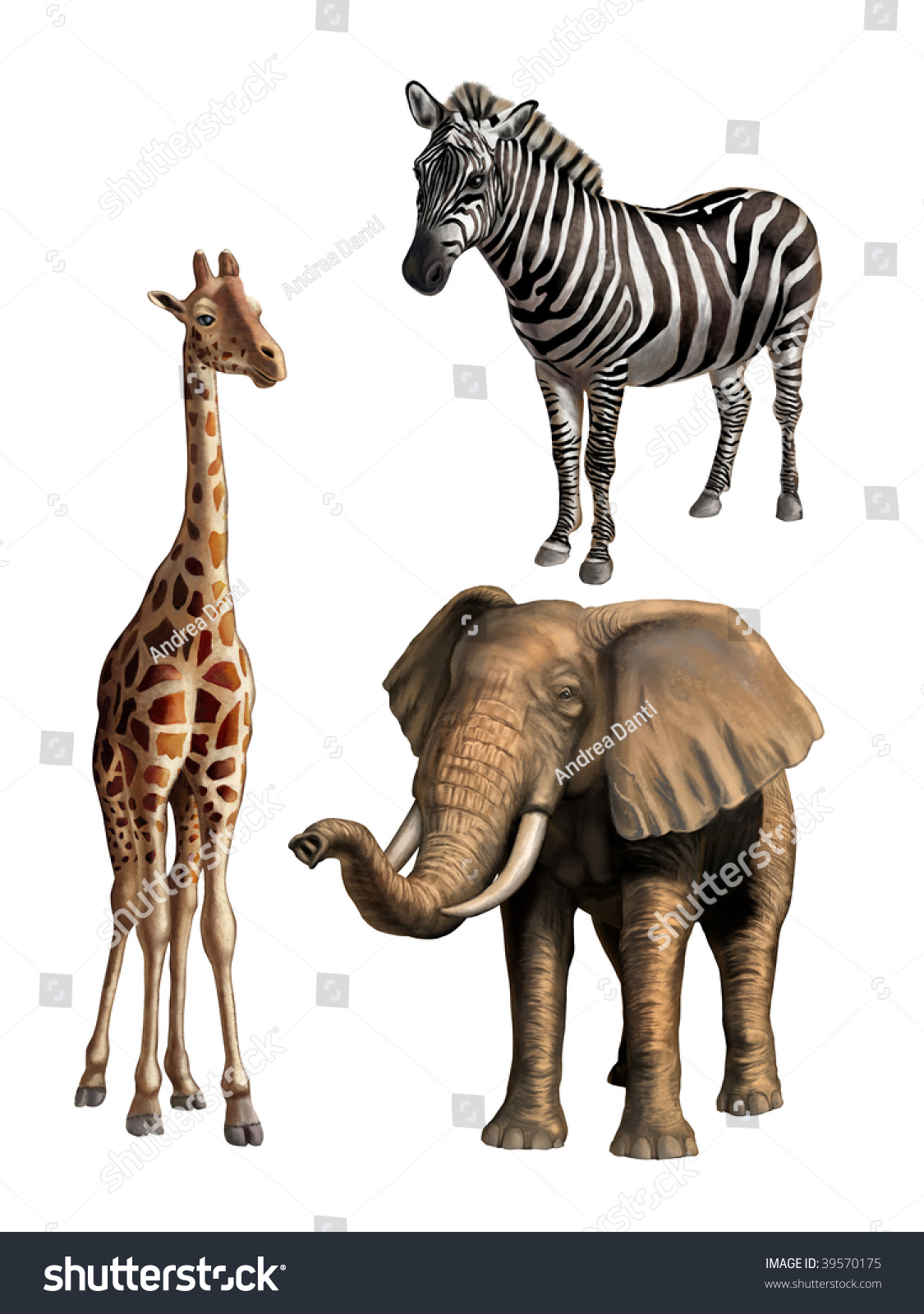 Giraffe Elephant Zebra African Wildlife Original Stock Illustration ...