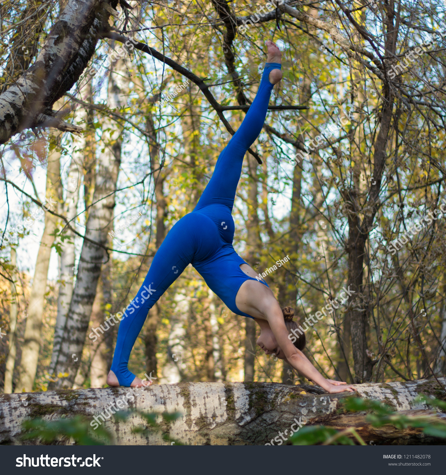 https://image.shutterstock.com/z/stock-photo-girl-doing-stretching-on-the-tree-in-the-forest-1211482078.jpg