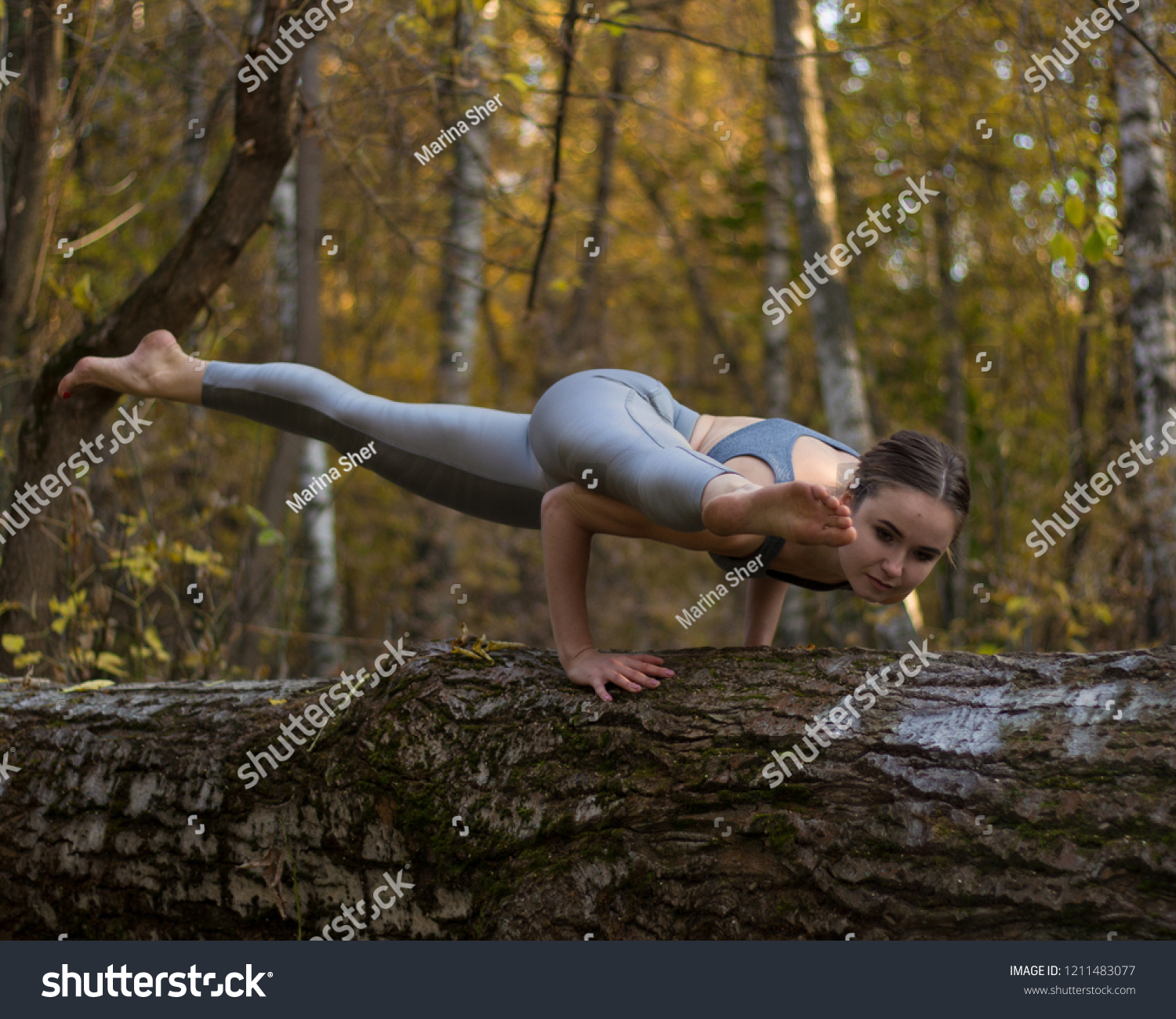 https://image.shutterstock.com/z/stock-photo-girl-doing-yoga-exercise-on-the-tree-1211483077.jpg