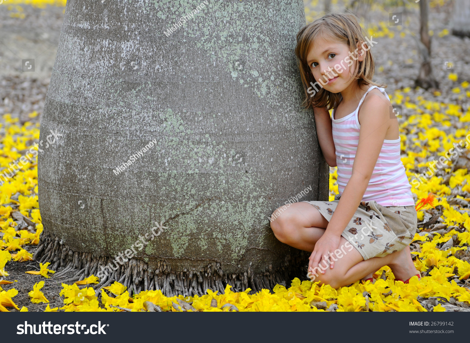 Girl Near The Big Tree Surrounded By Yellow Flowers Stock Photo ...