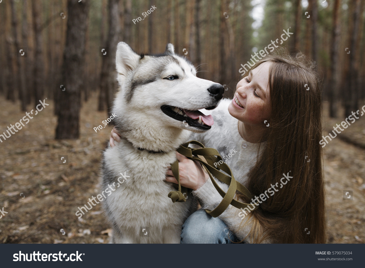 Girl On Walk Woods Huskies Red Stock Photo 579075034 - Shutterstock