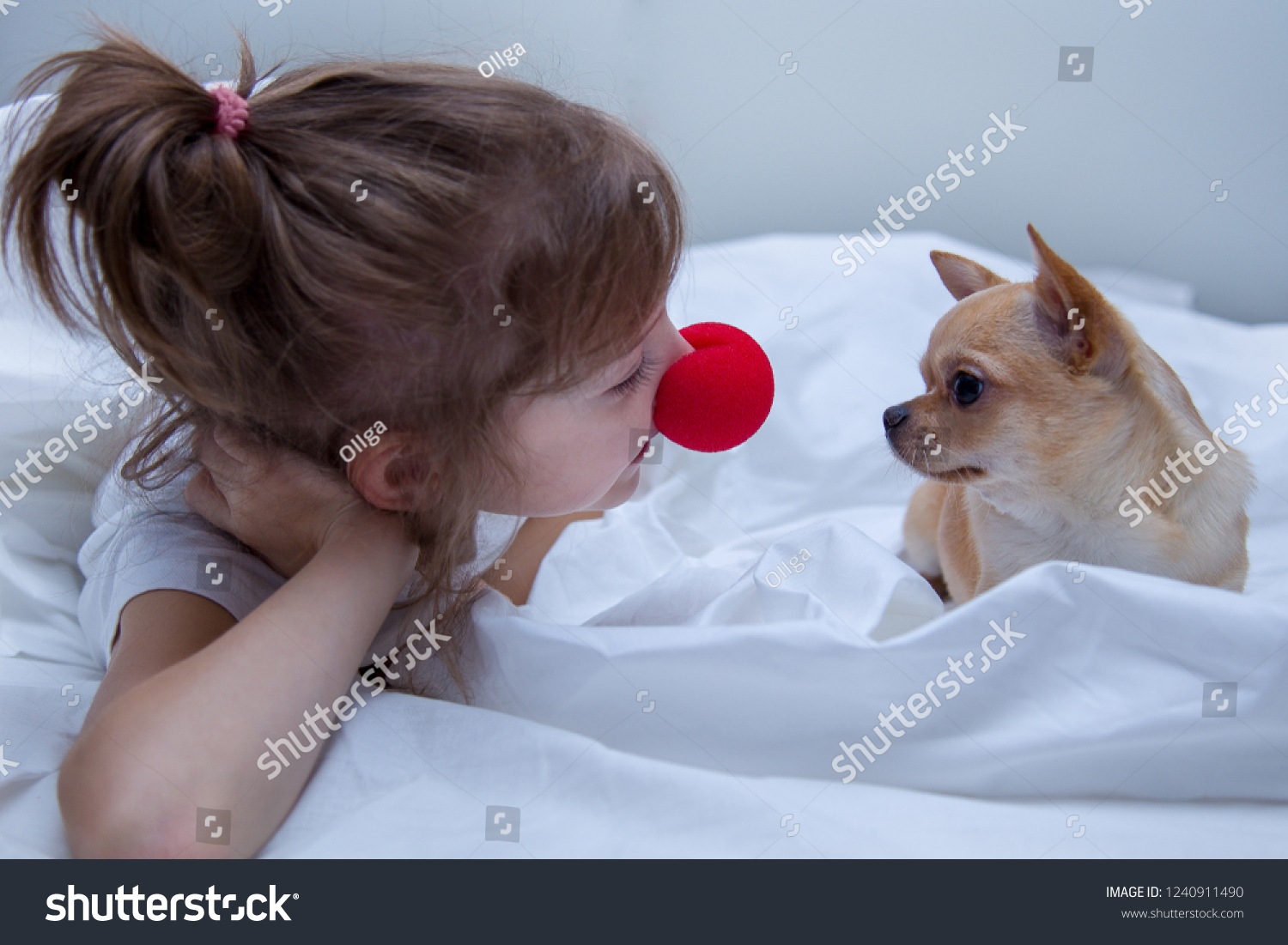 small girl dog beds
