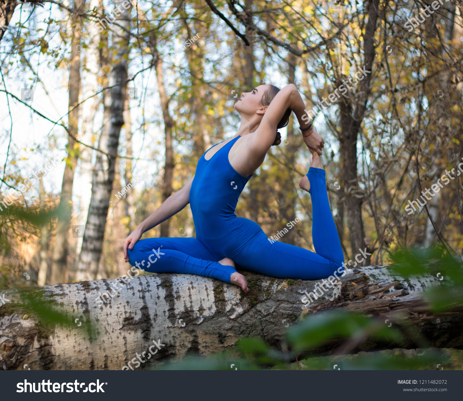 https://image.shutterstock.com/z/stock-photo-girl-sitting-on-the-tree-doing-stretching-1211482072.jpg