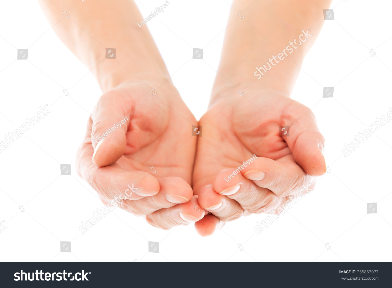 Giving Hands Isolated On White Background Stock Photo 255863077 ...