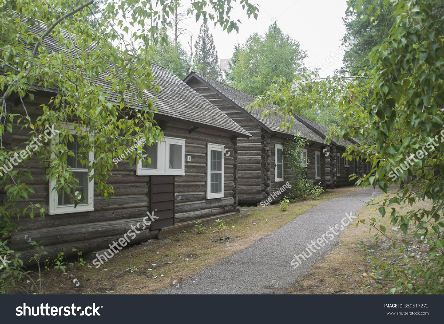 Glacier National Park Montana Usa August Royalty Free Stock Image