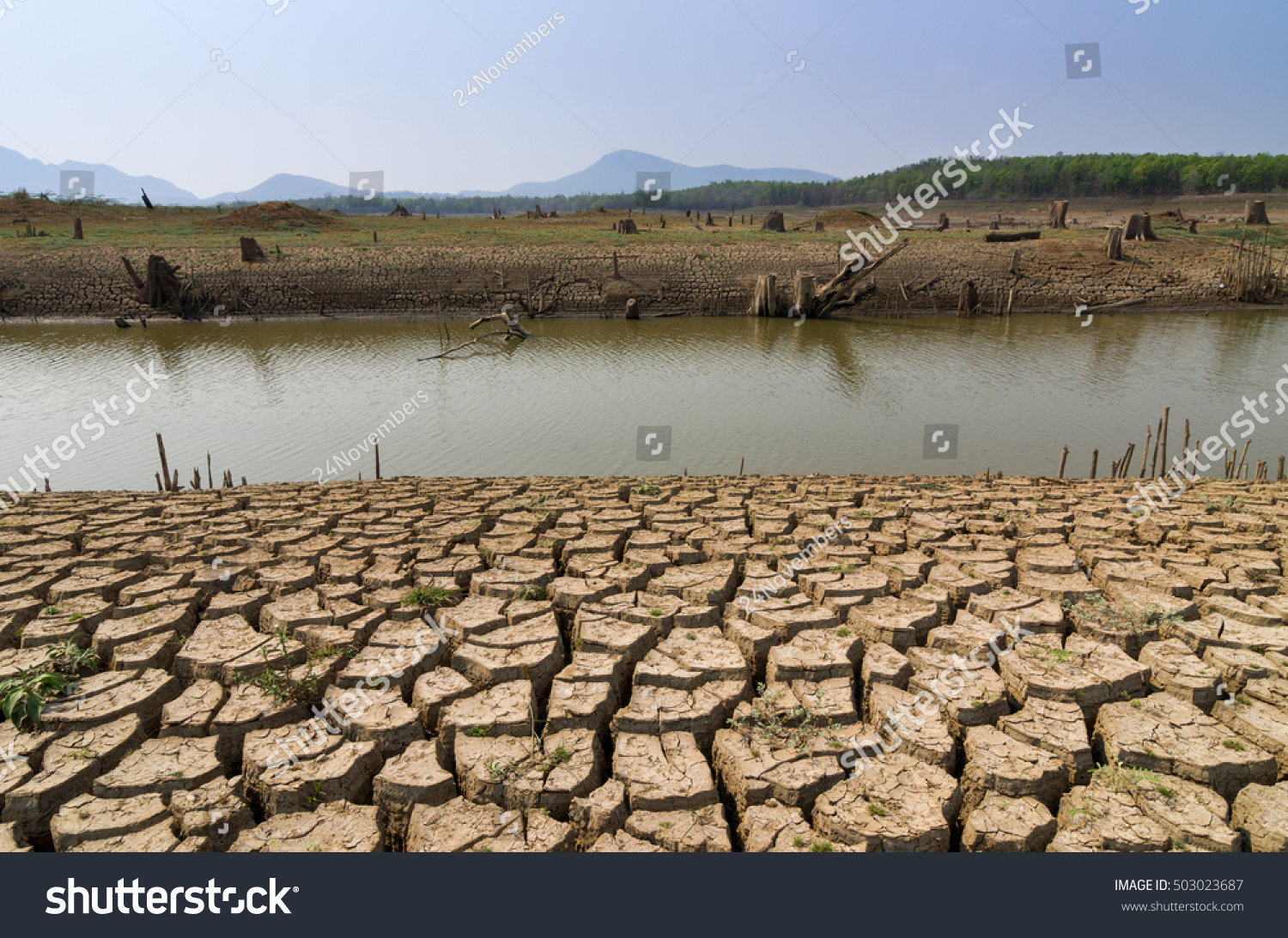 Global Warming Drought Summer Ground Dry Stock Photo 503023687 ...