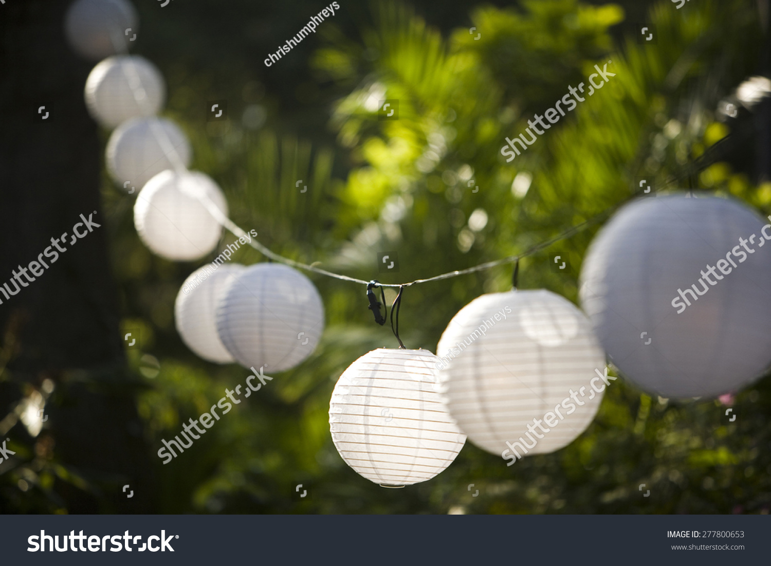 hanging paper globe lights