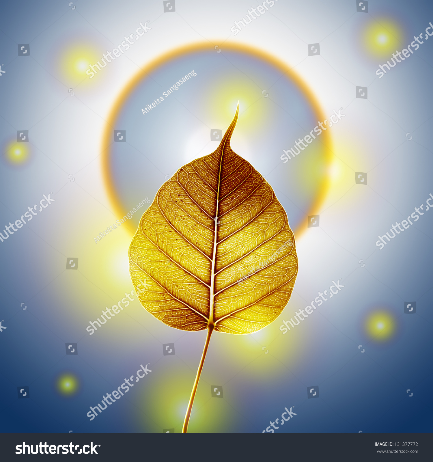 Gold Pho Bodhi Leaf Sun Halo Stock Illustration 131377772