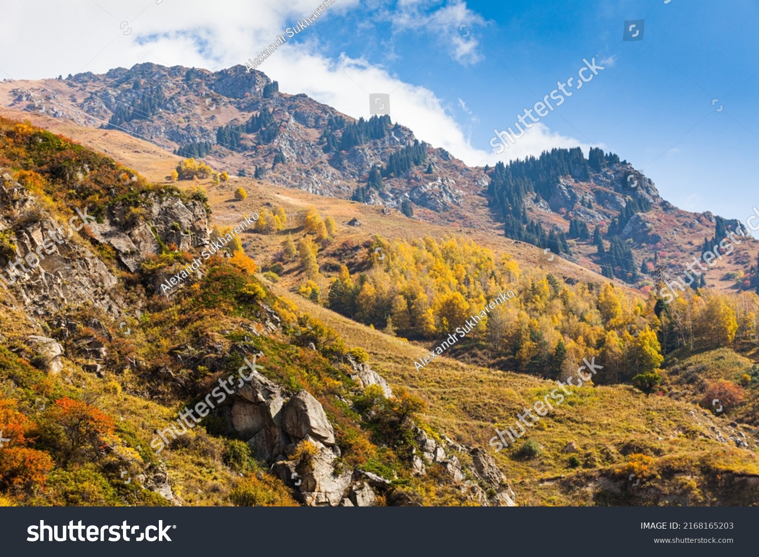 27,813 Kazakhstan forest Images, Stock Photos & Vectors | Shutterstock