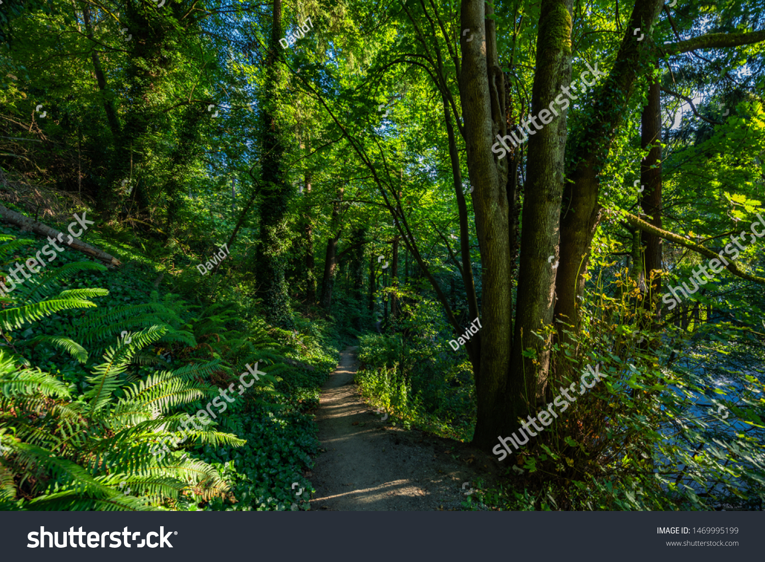 Golden Garden Park Seattle Wa Famous Stock Photo Edit Now 1469995199