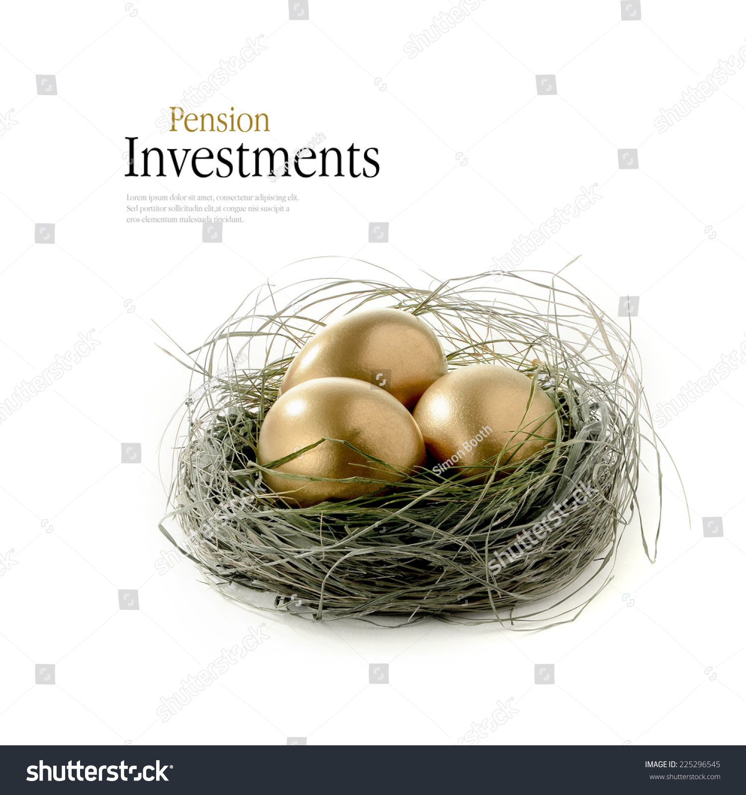 Golden Eggs Placed Authentic Looking Stock Photo (Edit Now) 225296545