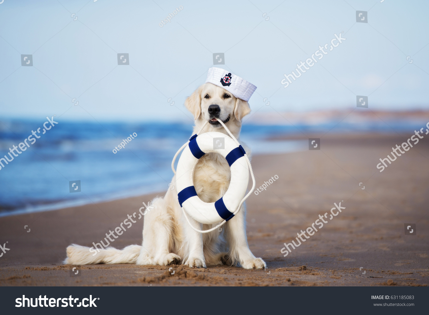 dog sailor hat