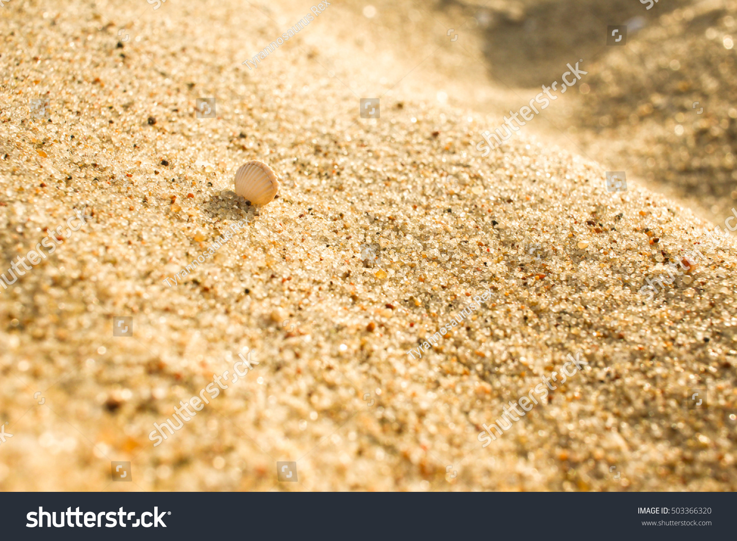 Golden Sand On Beach Background Texture Stock Photo 503366320 ...