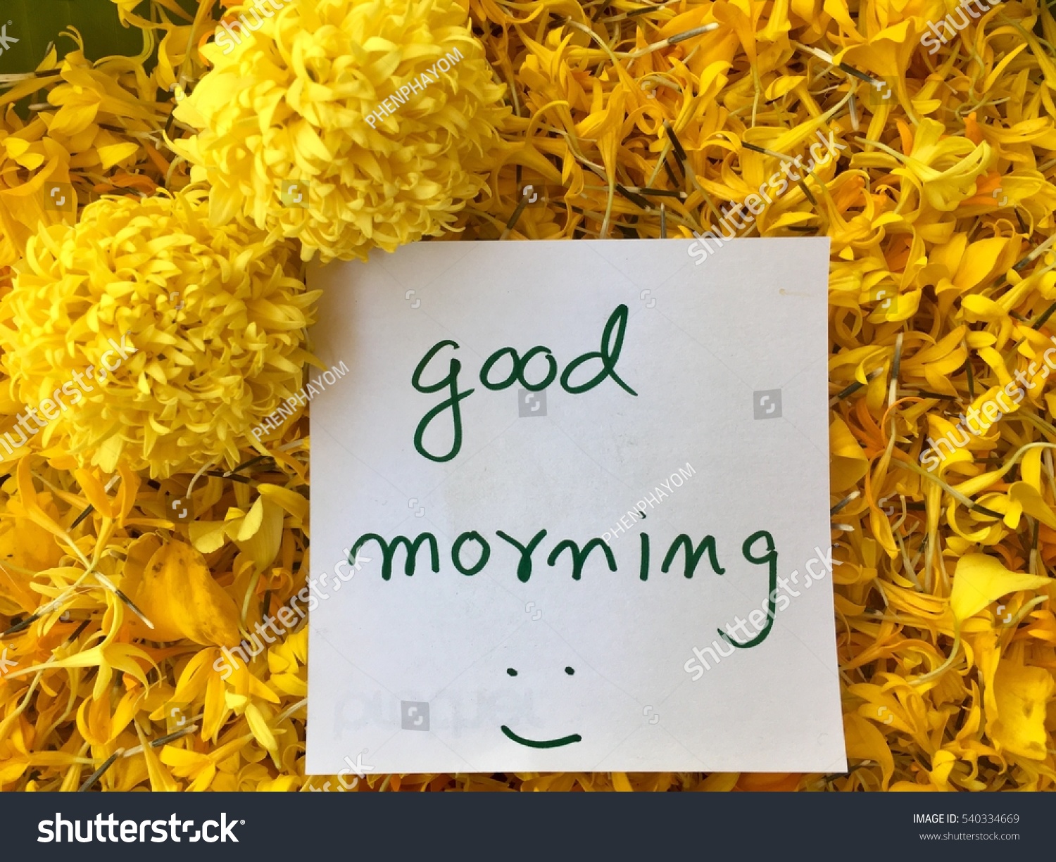 Good Morning Message Card Petal Marigold Stock Photo (Edit Now) 540334669