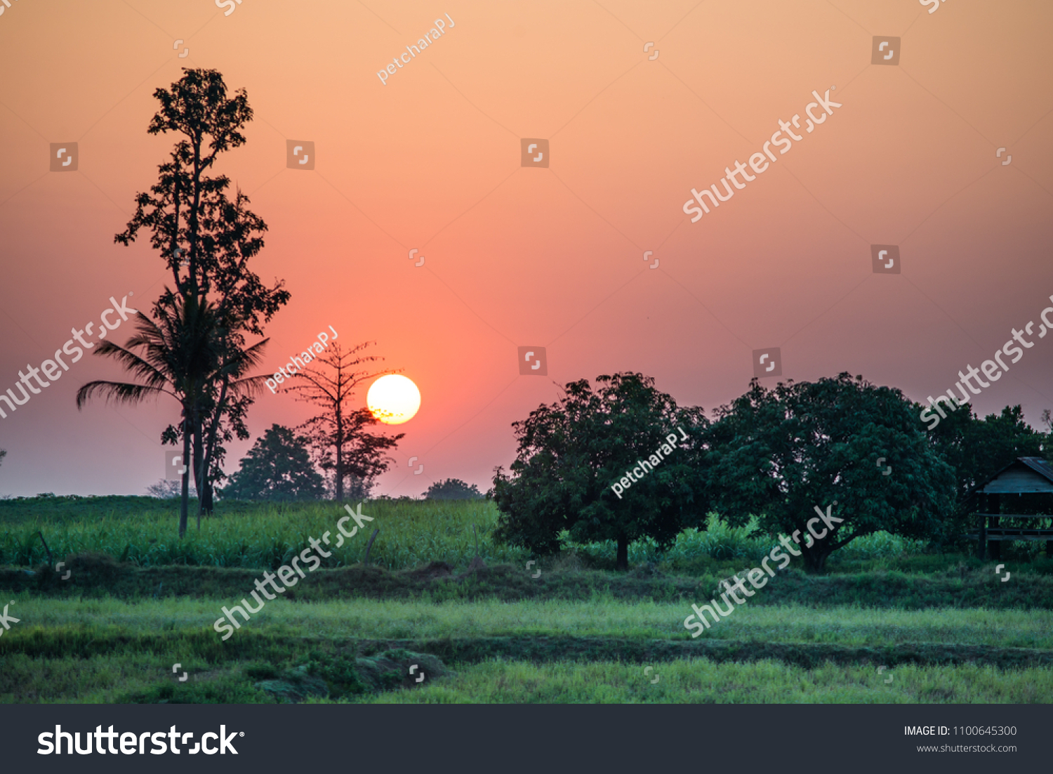 Good Morning Time Light Life Nature Stock Image