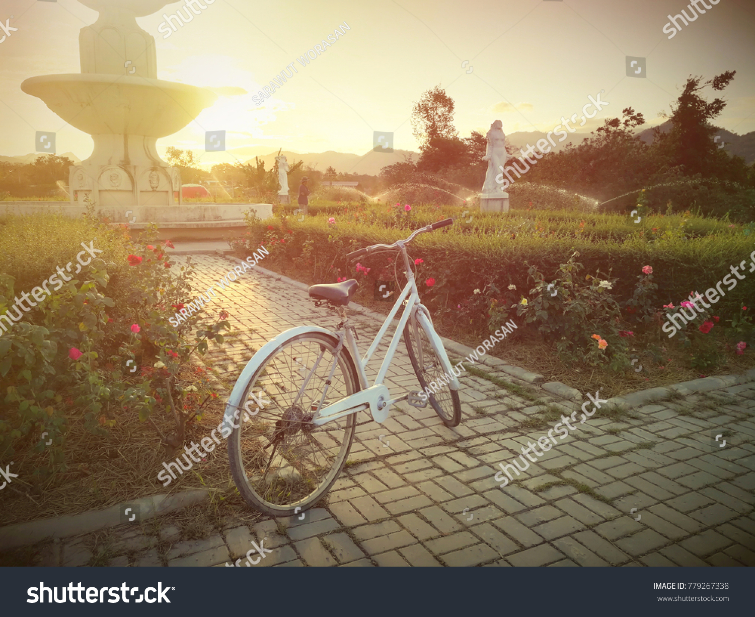 good morning bicycle