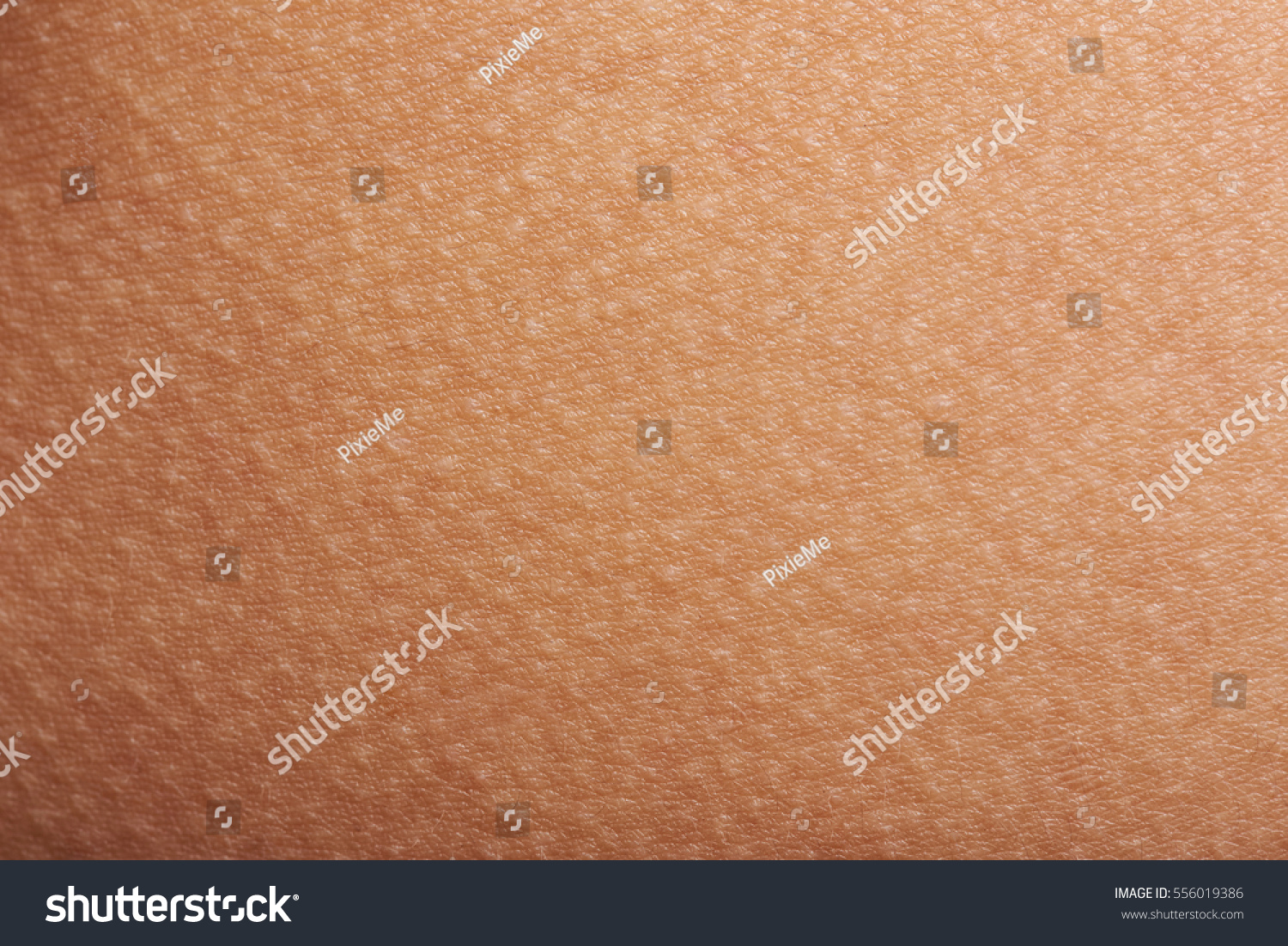 goose bumps on human skin closeup stock photo 556019386 goose bumps on human skin closeup stock photo 556019386 goose bumps on human skin closeup stock photo 556019386 goose bumps on human skin closeup stock photo 556019386