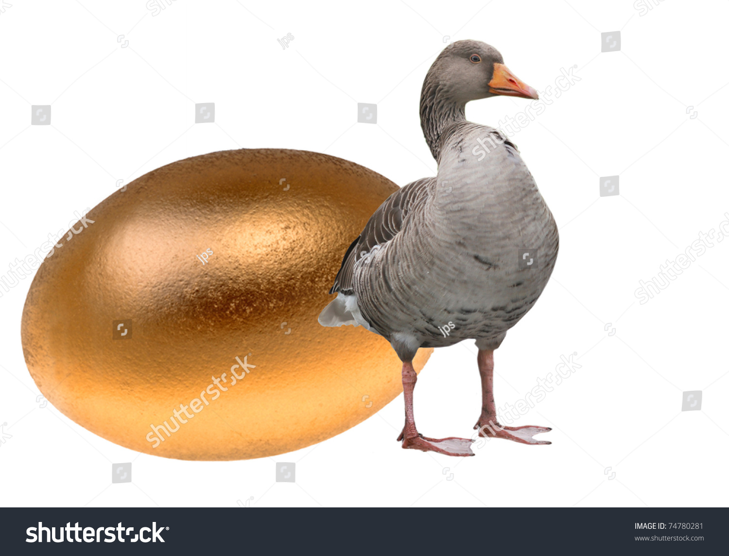 Goose Golden Egg Stock Photo 74780281 - Shutterstock