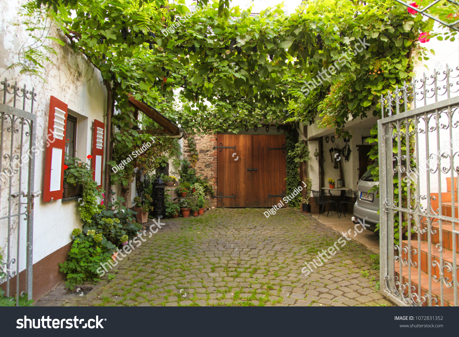 Grape Vines Growing Above Driveway Garage Stock Photo Edit Now