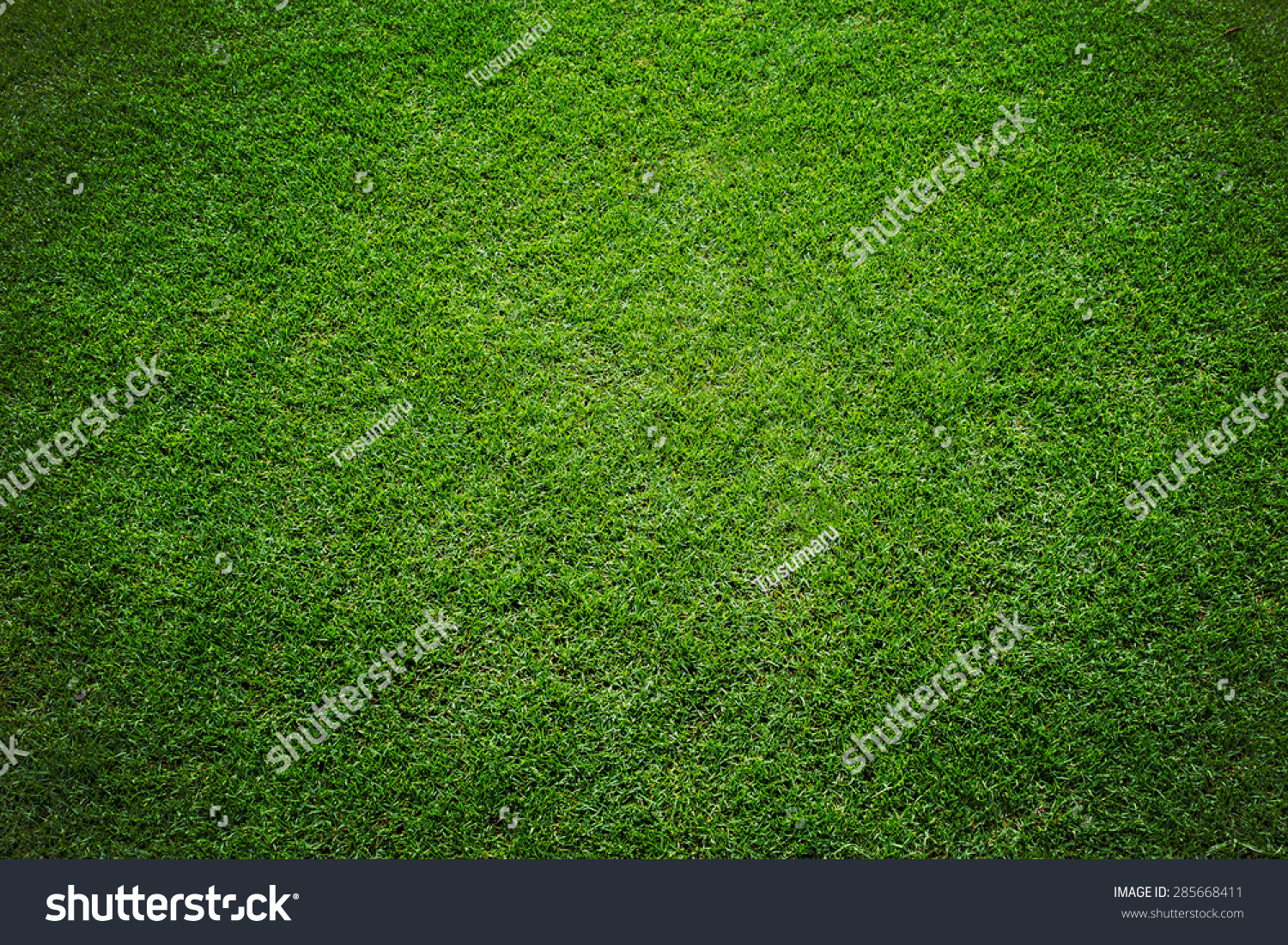 Cricket Ground Texture Images Stock Photos Vectors Shutterstock