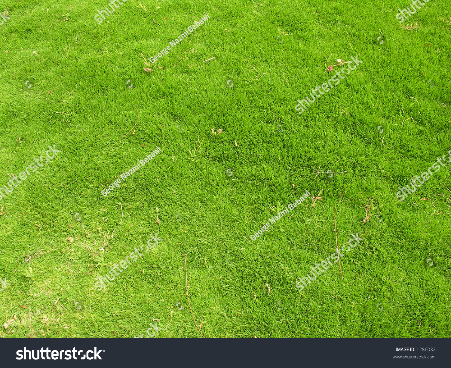 Grass Texture Stock Photo 1286032 | Shutterstock