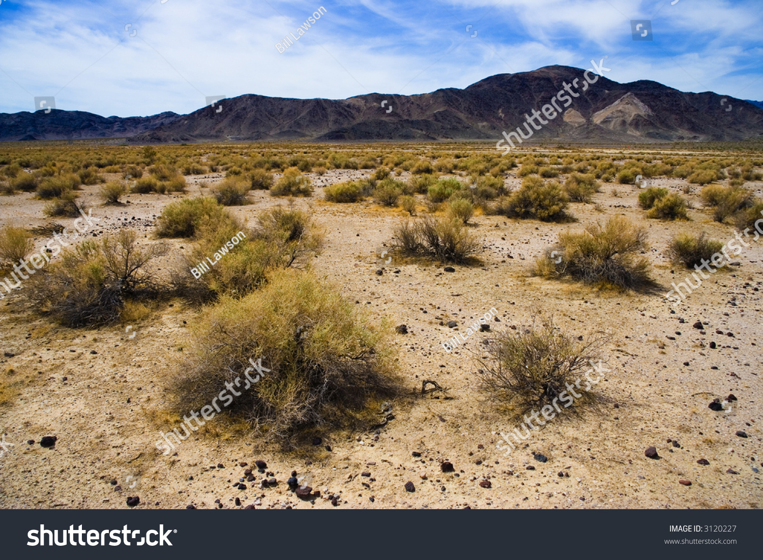 Grassland Scrub Death Valley Stock Photo 3120227 - Shutterstock