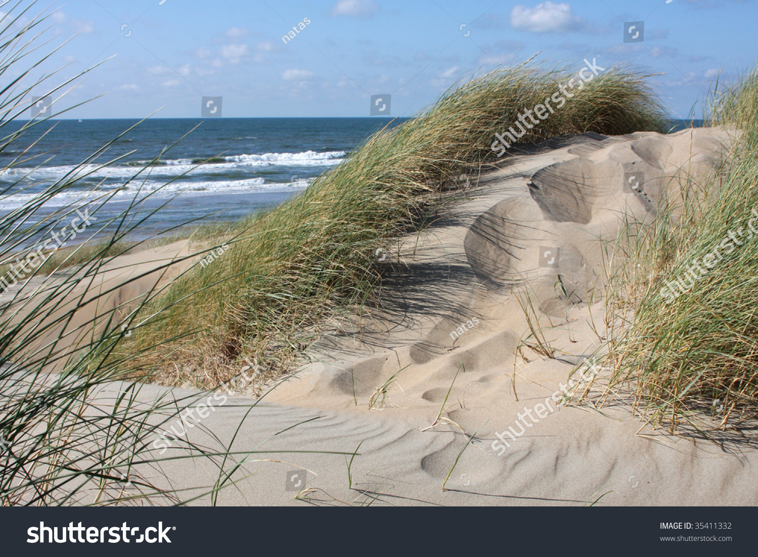 Grassy Dune With The Ocean In The Background. Near Scheveningen In ...