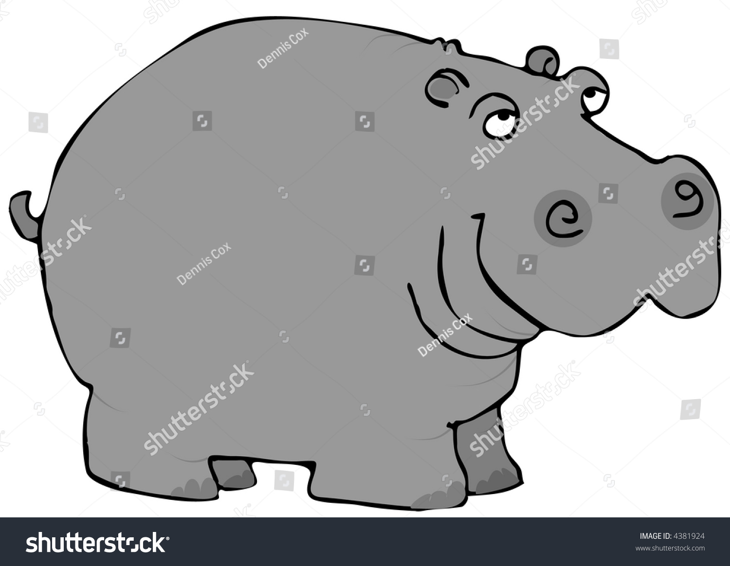 Gray Hippo Stock Photo 4381924 : Shutterstock