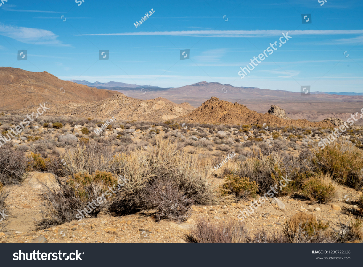 Great Basin Desert Eastern Sierra Nevada Stock Photo (Edit Now) 1236722026