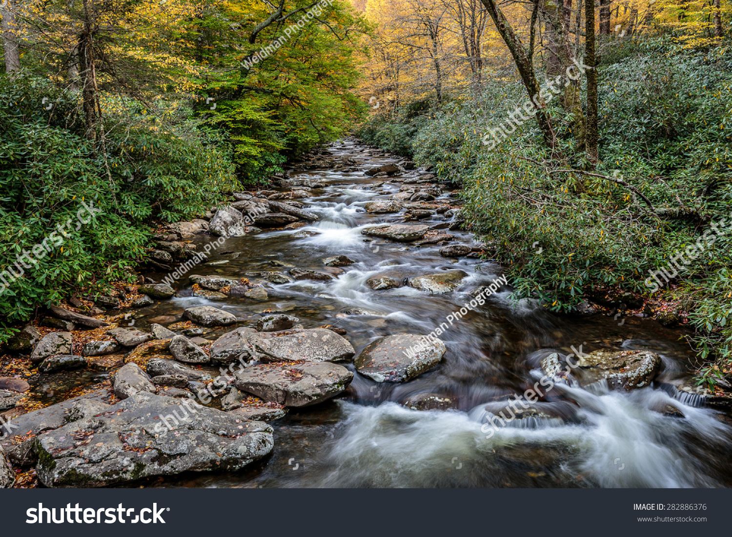 Great Smoky Mountains National Park Alum Stock Photo 282886376 ...