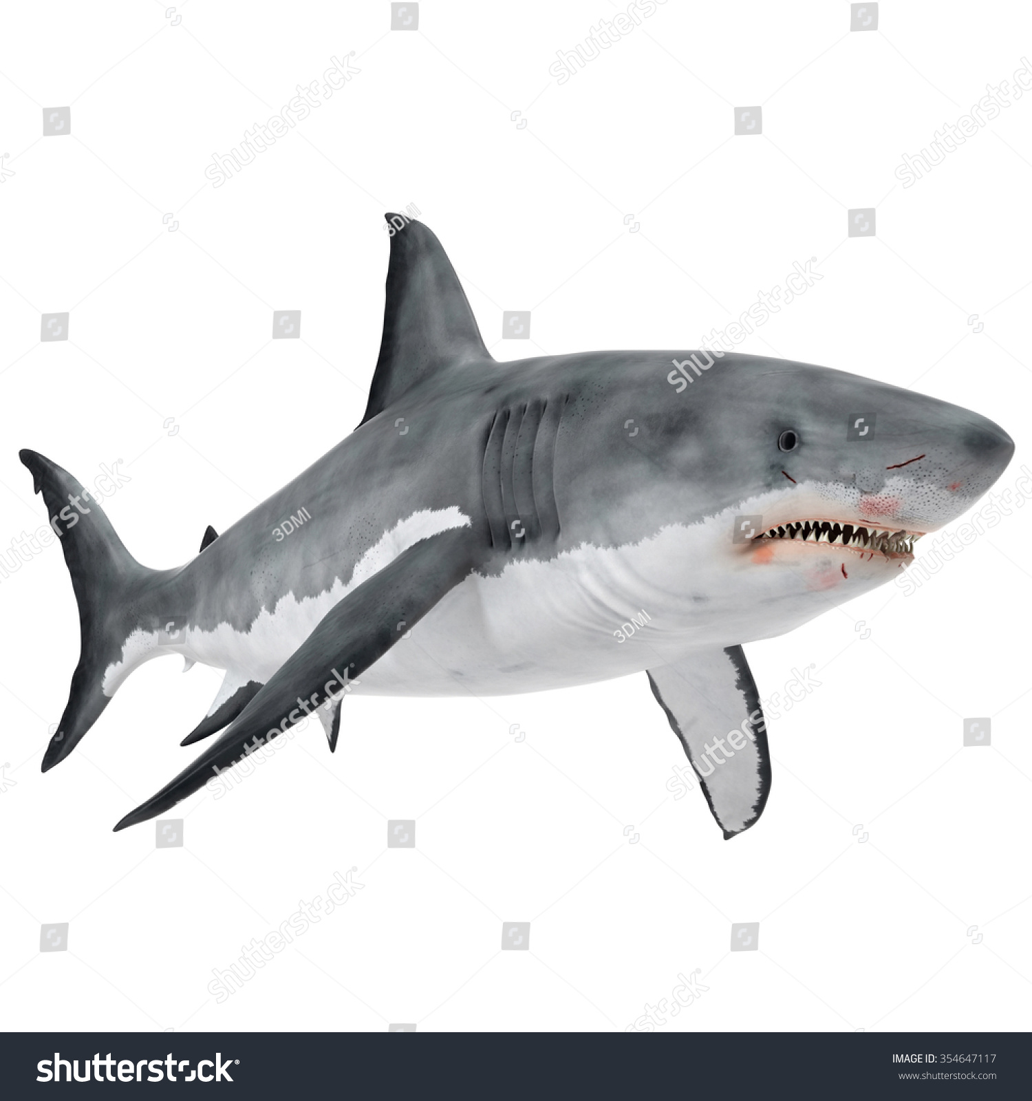 Great White Shark Isolated On White Background Stock Photo 354647117 ...