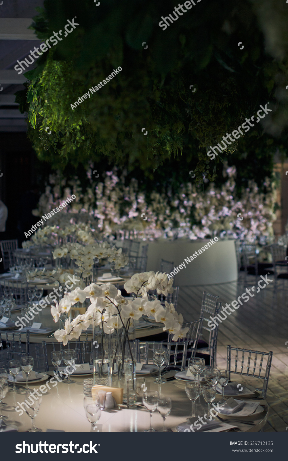 Green Branches Hang Ceiling Over Dinner Stock Photo Edit