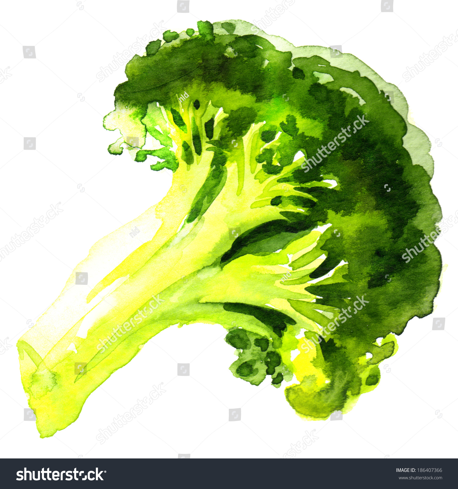 Green Broccoli Stock Illustration 186407366 - Shutterstock