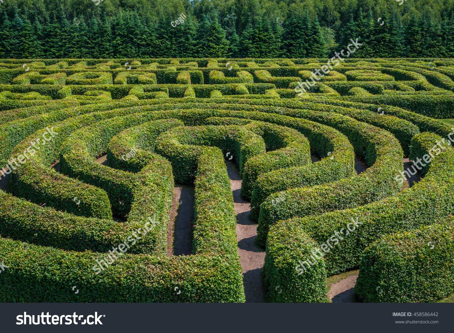 Green Bushes Circular Labyrinth Hedge Maze Stock Photo 458586442 ...