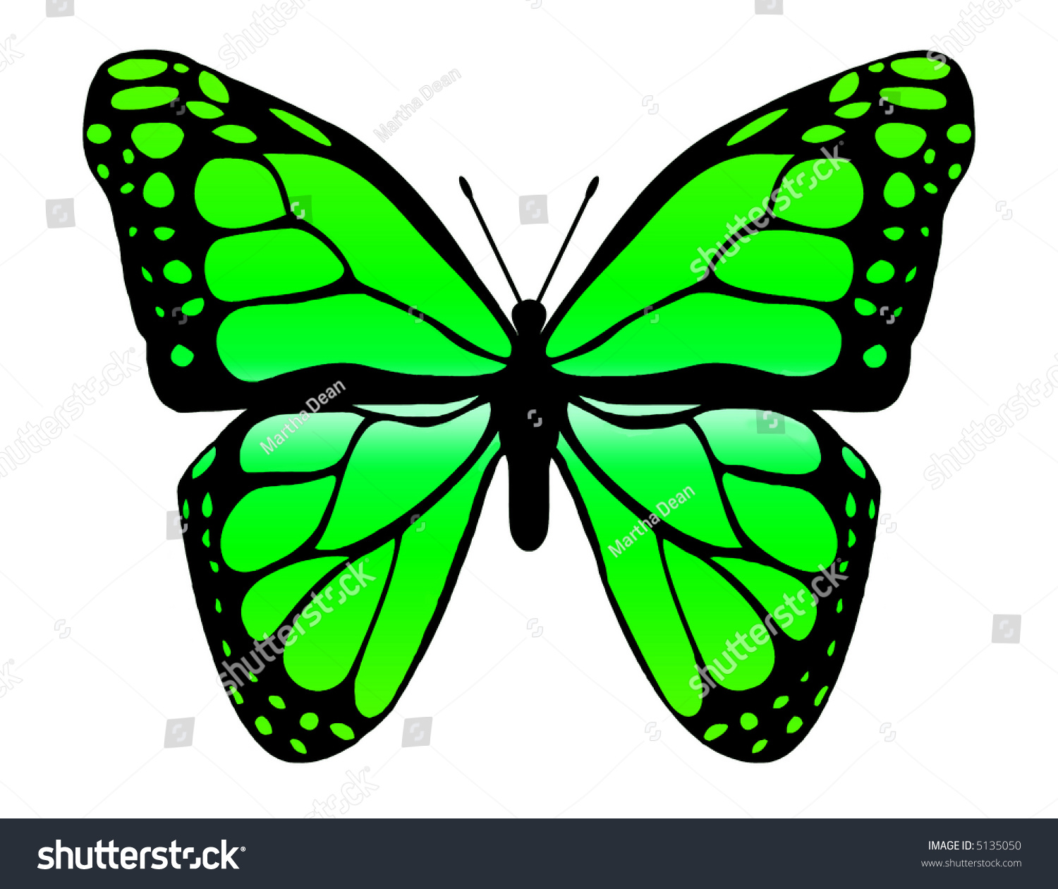 Green Butterfly Drawing