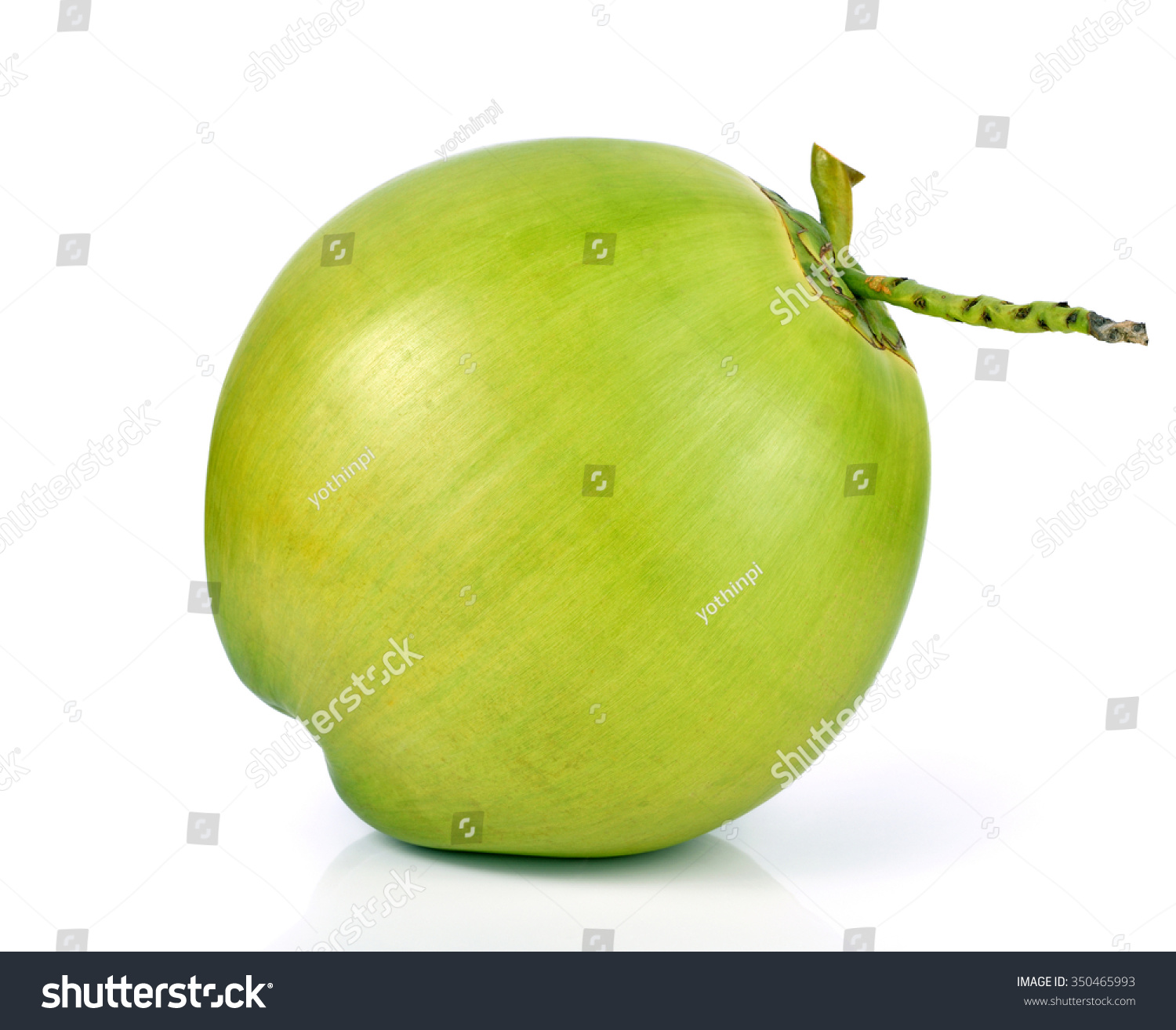 118,484 Green coconut branches Images, Stock Photos & Vectors ...