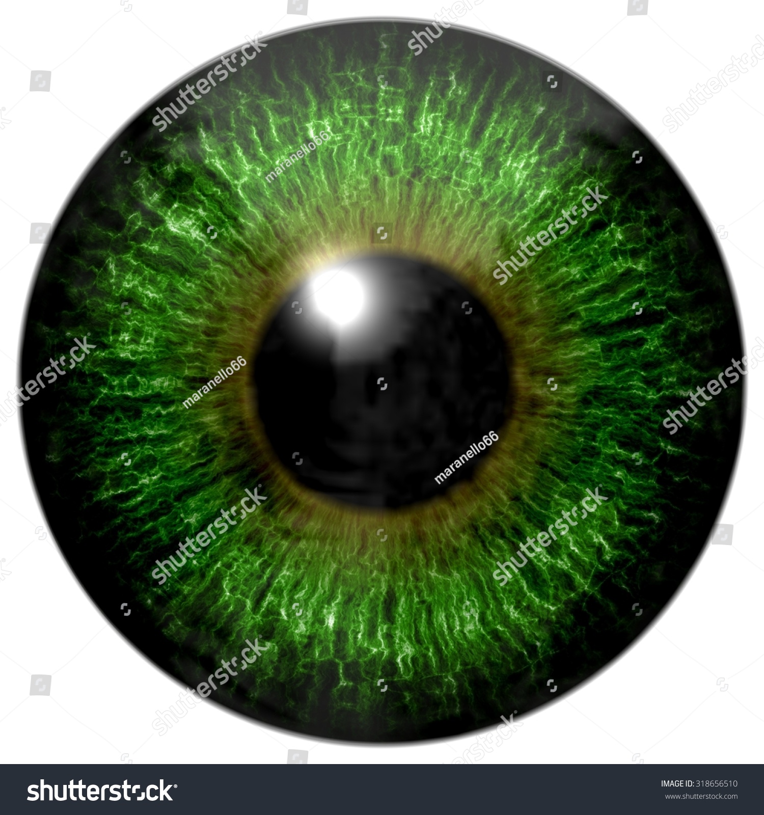 Green Eye Stock Illustration 318656510 - Shutterstock