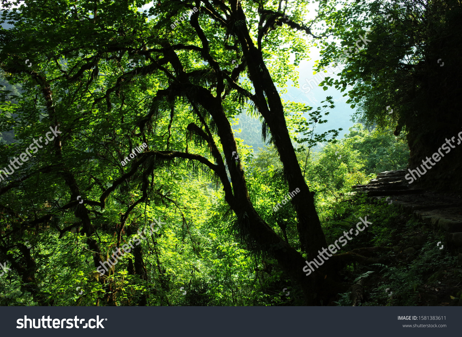  Tawny Brown Classic  Template Design Featuring Green Forest in Nepal Himalayas