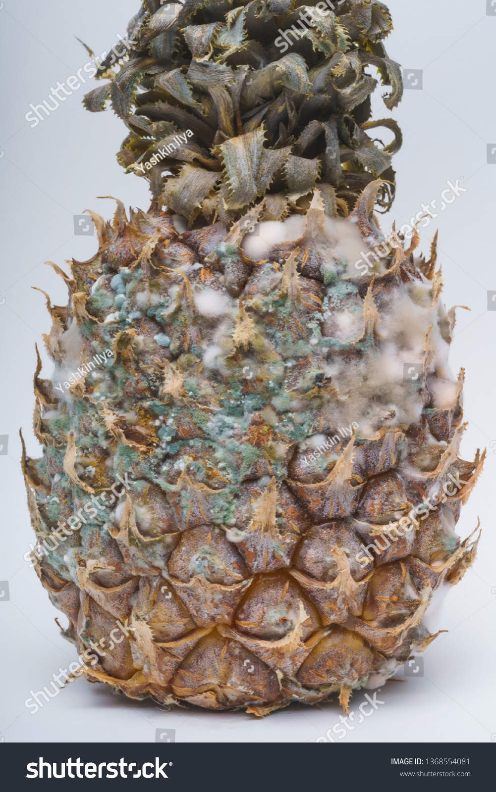 Green Fungus Mold On Surface Pineapple Stock Photo Edit Now 1368554081