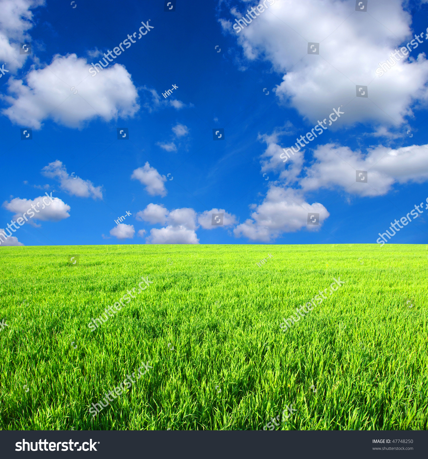 Green Grass And White Clouds Stock Photo 47748250 : Shutterstock