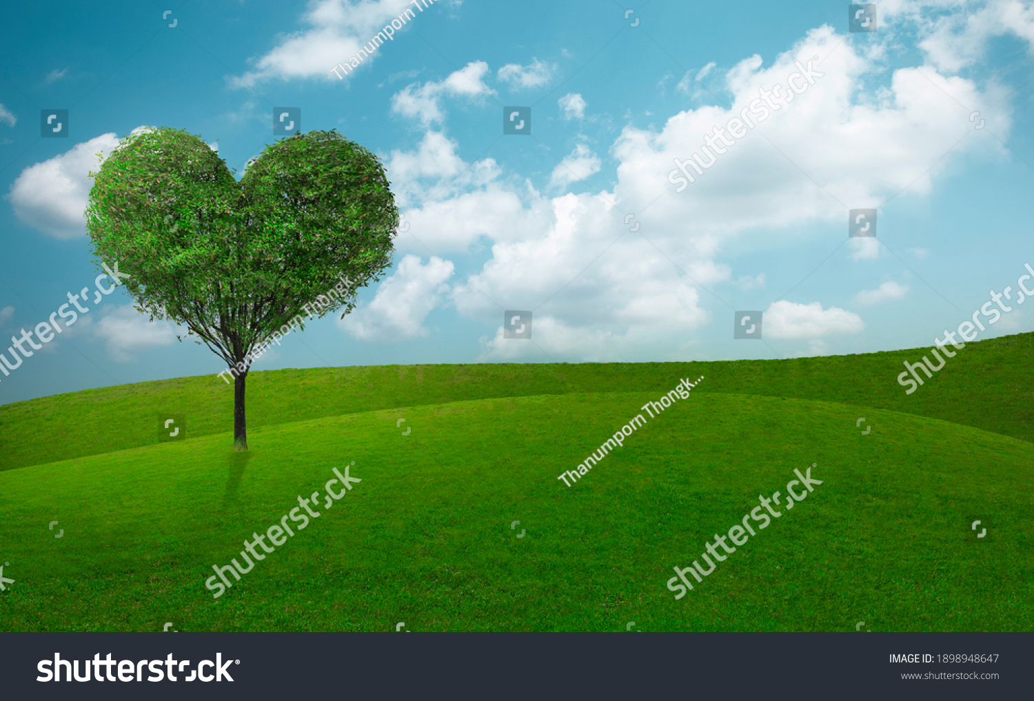 139,222 Green heart tree Images, Stock Photos & Vectors | Shutterstock