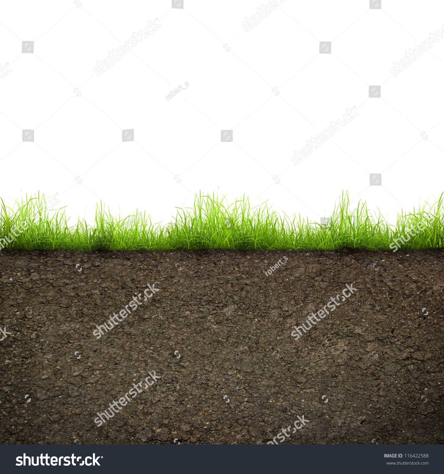 Green Grass Soil Isolated On White Stock Photo Edit Now 116422588